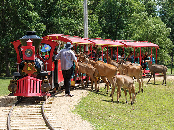 Timbavati Wildlife Park